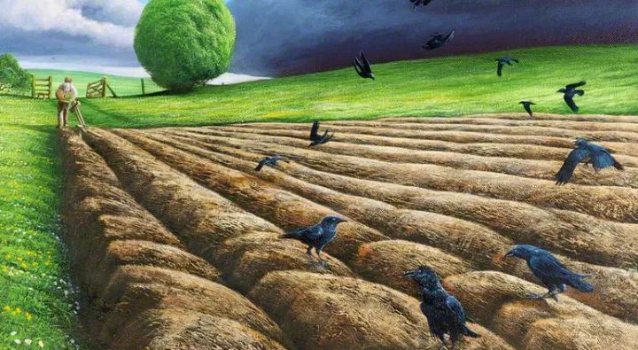 It don’t grow what I&nbsp;plant